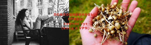 spice Абаза