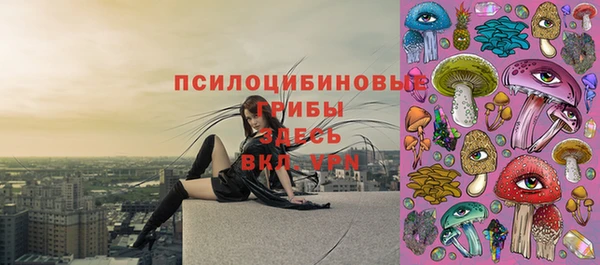 spice Абаза